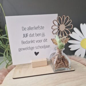 Pakket Forex-bordje + bloem