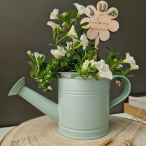 Gieter groen met plant