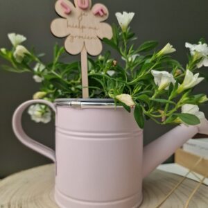 Gieter roze met plant
